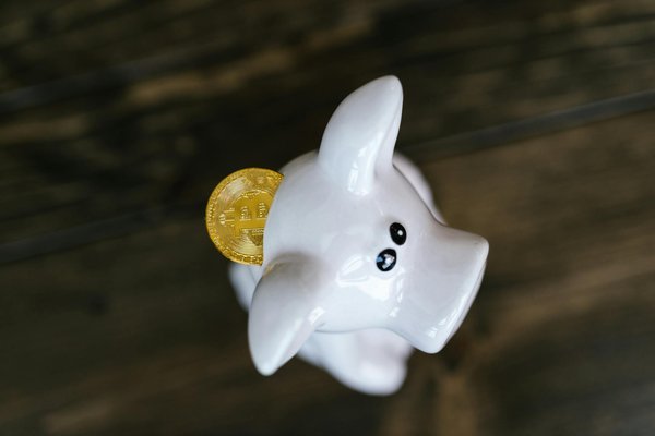 Prêts professionnels pour startups : guide complet